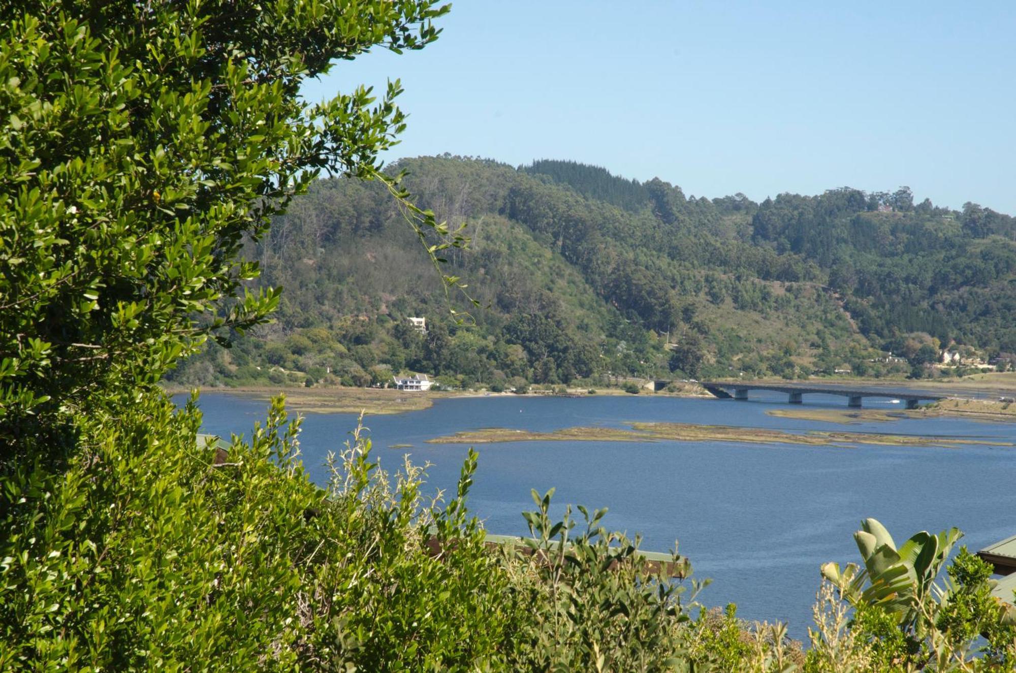 Elephant Hide Of Knysna Guest Lodge Exterior photo