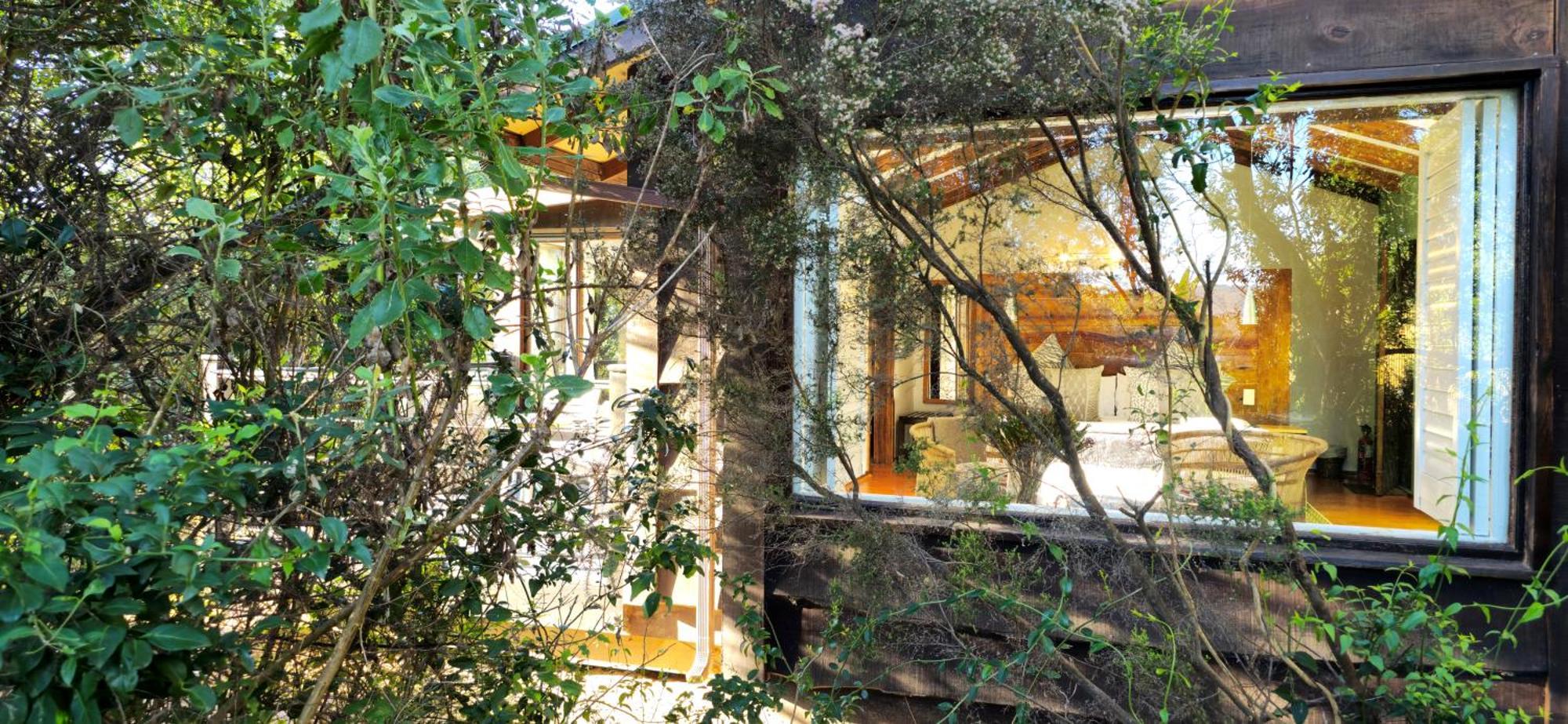 Elephant Hide Of Knysna Guest Lodge Exterior photo