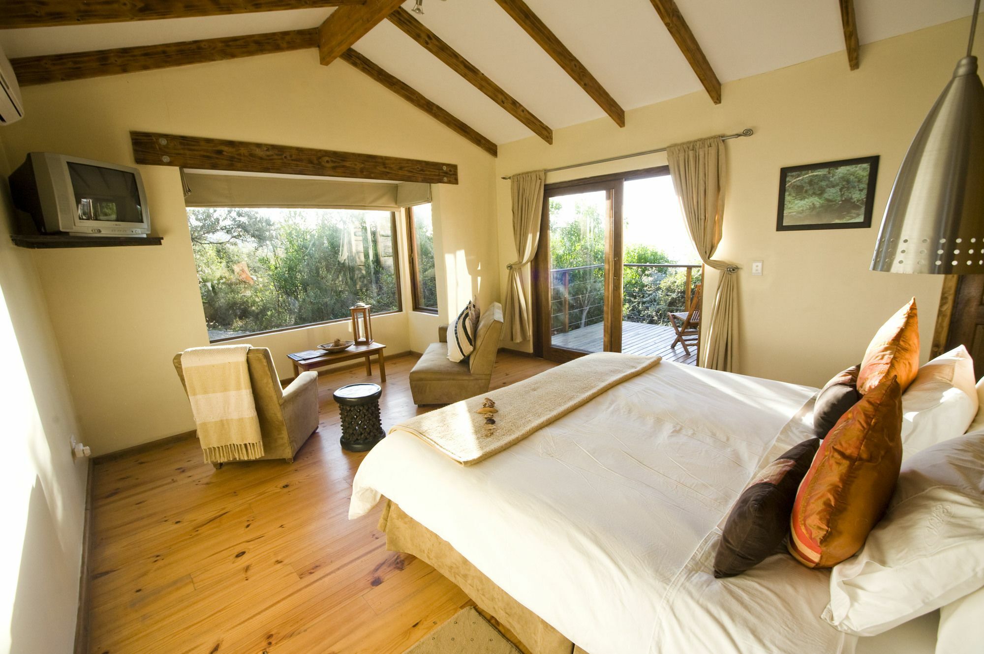 Elephant Hide Of Knysna Guest Lodge Exterior photo